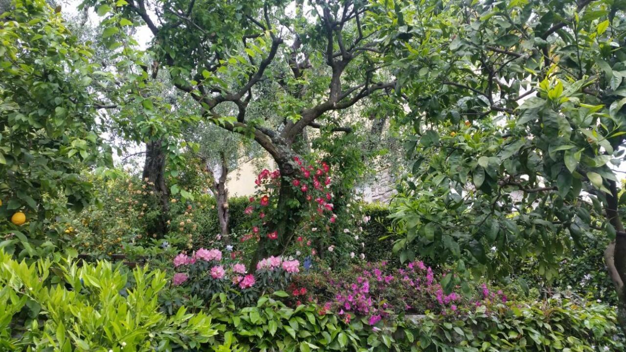 Residenza Buggiano Antica B&B - Charme Apartment In Tuscany Borgo a Buggiano Εξωτερικό φωτογραφία