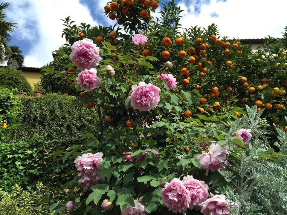 Residenza Buggiano Antica B&B - Charme Apartment In Tuscany Borgo a Buggiano Εξωτερικό φωτογραφία